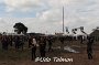 Wacken 33